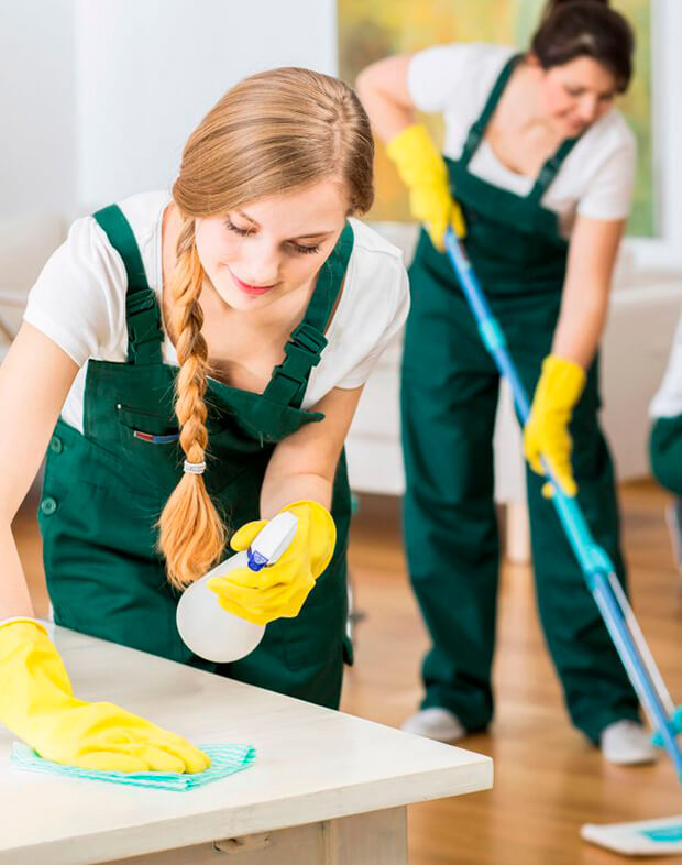 Varano quienes somos