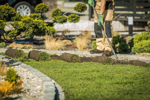 Mantenimiento de jardines en comunidades